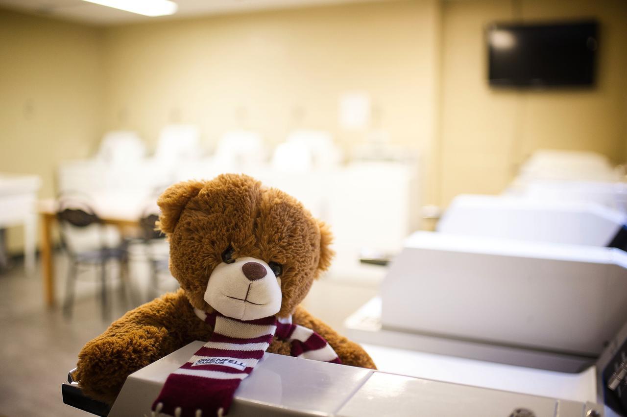 Grenfell Campus Summer Accommodations Corner Brook Eksteriør billede